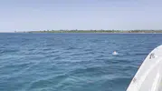 Deniz yatağında sürüklenen çocuk son anda kurtarıldı