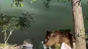 Tunceli'de piknik sofrasına ortak olan bozayı paniğe neden oldu?
