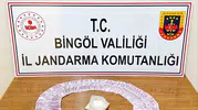 Bingöl’de jandarma baskınları ile suçlular yakalandı