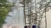 Bursa Karacabey ormanlarında korkutan yangın