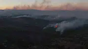 Ayvalık yangınında Tıfıllar Köyü’nün ağır bilançosu gün yüzüne çıktı