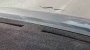 Eskişehir yolunda yılan trafiği durdurdu