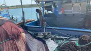 Didim açıklarında balıkçı tekneleri denetimden geçti