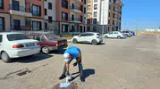 Adıyaman TOKİ konutlarında haşereye karşı erken önlem
