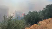 Ayvacık’ta rüzgarın körüklediği yangın ormanlık alana sıçradı