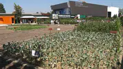 Şehrin göbeğinde minik çiftçiler toprağa dokundu