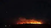 Gaziantep ormanlarında gece boyu süren mücadele bitti