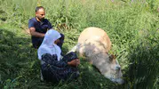 Yüksekova'da hayalleri sönen aileye yeni umut kapısı açıldı