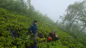 Rize’de sis yüzünden mahsur kalan turistleri ekipler kurtardı