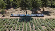 Bodrumlu gençler toprağı ve üretimi öğreniyor