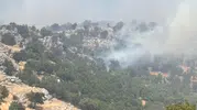 Diyarbakır Çüngüş’te alevler yaylaya sıçradı