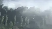Seydikemer ormanlarında sabah saatlerinde yangın paniği