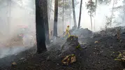Muğla için orman yangını alarmı verildi