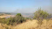 Balıkesir'de orman sınırındaki yangın paniği havadan ve karadan durduruldu