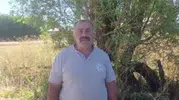 Sivas'ta nesli tükenen alaca sansar kameralara yakalandı
