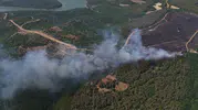 Tekirdağ'da anız yangını ormana sıçradı