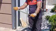 Yozgat'ta villa bahçesine giren yılan paniği
