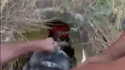 İnegöl'de tarladaki rögar kazası ucuz atlatıldı