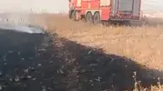 Batman'da alevler 150 dönümü küle çevirdi