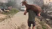 Seydikemer yangınında duygulandıran kurtarma anları