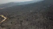 Seydikemer yangınında kül olan ormanlar havadan görüntülendi