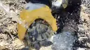 Çorum'daki yangında itfaiyecilerin şefkatli müdahalesi