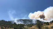 Kepsut ormanlarında korkutan dumanlar yükseliyor