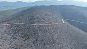 Milas yangınında 850 hektarlık alan küle döndü