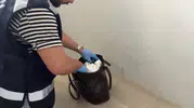 Bebekli kuryelere Samsun polisinde narkotik engeli