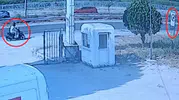 Manavgat yolunda kaskı hayatını kurtardı