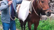 Erzurum’da yürek yakan olay Tedavi gören şahıs dereye atladı