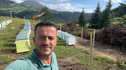 Ilgaz Dağı’nın ziyaretçisi cep telefonu kamerasına yakalandı