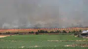 Bandırma’da rüzgarla büyüyen yangın tarım arazilerini vurdu