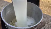 Ağrı'nın asırlık lezzeti Gırar her mevsim sofraların baş tacı
