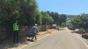 Bodrum’da yangın riskine karşı ot temizliği seferberliği
