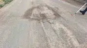 Sivas’ta odunluğa giren yılan paniği