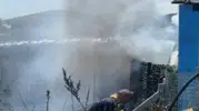 Silivri’de otluk alanda başlayan yangın hobi bahçelerine zarar verdi