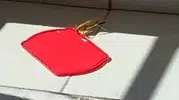 Burdur’daki balkonda çekirgeye su ikramı