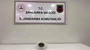 Viranşehir'de jandarma devriyesi uyuşturucuya geçit vermedi