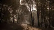 Fransa ve İspanya yangınlarla boğuşuyor