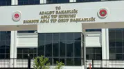 Samsun’da ıhlamur toplarken ağaçtan düşen adam kurtarılamadı