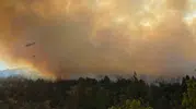 Bilecik'te orman yangını korkusu bitti