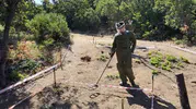 Tunceli'de terörün izleri siliniyor Mayınlı topraklar yeniden hayat buluyor