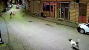 Ordu’da sokak köpekleri skuter süren çocuğu kovaladı