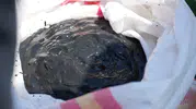 Haliç’in dibinde zift gibi çamur ve imkansız yaşam