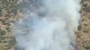 Demre ormanlarında yangın alarmı