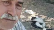 Çankırı'da bahçesindeki leylekleri ölü bulan adamın acı dolu anları