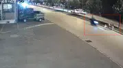Düzce’de motosikletin yola çıkan hayvana çarpma anı kamerada