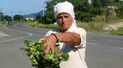 Ordu tezgahlarında taze fındık dönemi başladı