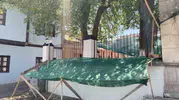 Eskişehir’de cami bahçesindeki dut ağacına fileli çözüm